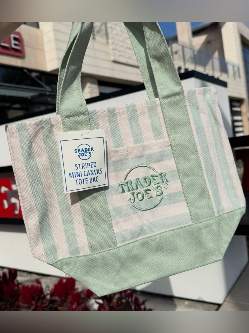 LIMITED EDITION Trader Joe's Striped Mini Tote sea foam Green NWT